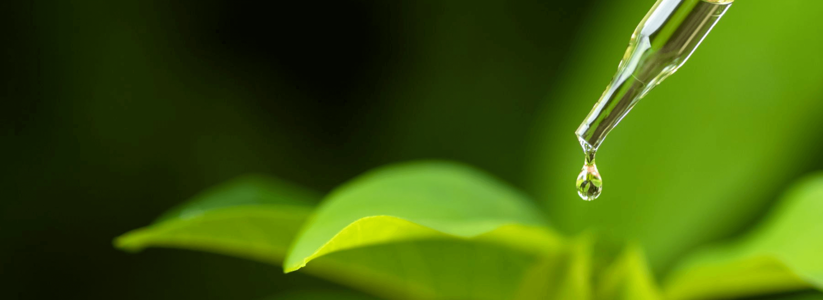 dripping-natural-essential-oil-into-bottle-blurred-background-medicine-dropper-biomedical